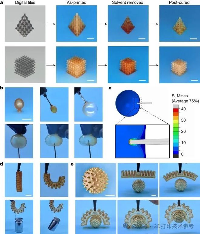 2024第5篇3D打印Nature！浙江大学重要突破！(图4)