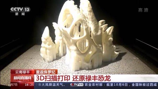 思看科技3D扫描技术：引领文化遗产数字化保护新篇章(图10)