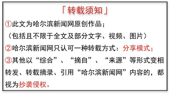 68天璀璨承载300余万人次跨越山海的奔赴——哈尔滨冰雪大世界“流量奇迹”背后(图12)